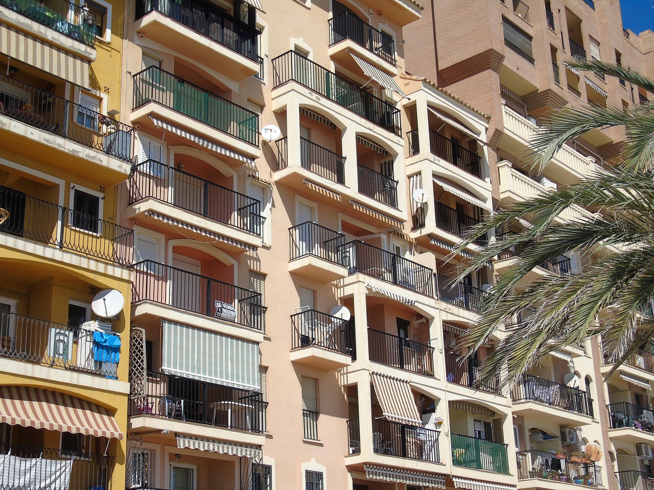 Alboraya